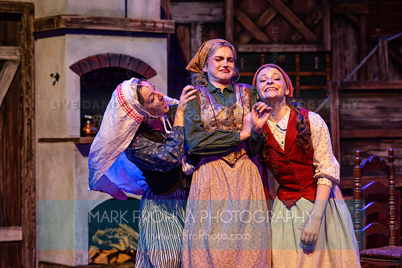 Skylight Fiddler on the Roof Selects-26