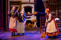 Skylight Fiddler on the Roof Selects-24