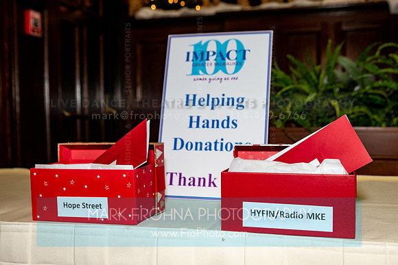 Impact100 Helping Hands 2022-1
