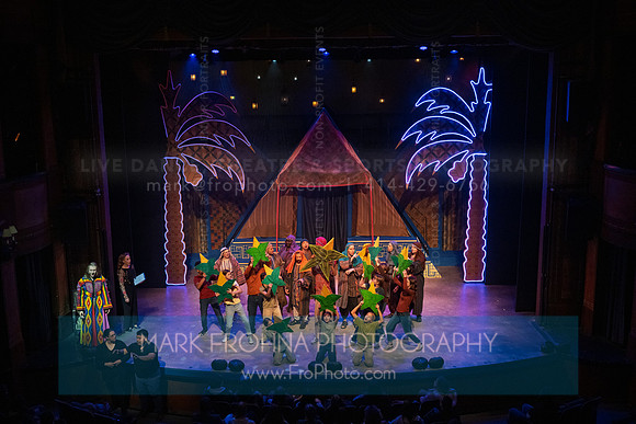 Skylight Joseph ASL Understudy-15