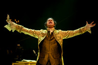 Skylight Amadeus