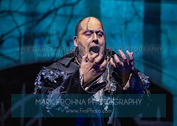 Skylight Frankenstein Highlights-44