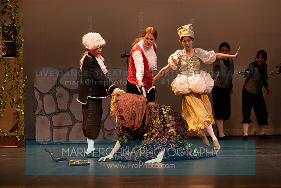 New Berlin West Cinderella Leila-2