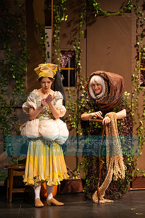 New Berlin West Cinderella Leila-4