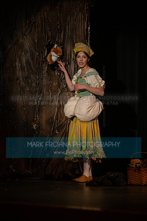 New Berlin West Cinderella Leila-10