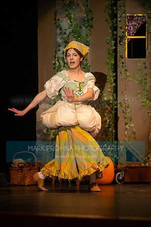 New Berlin West Cinderella Leila-11