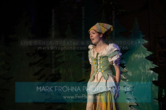 New Berlin West Cinderella Leila-59