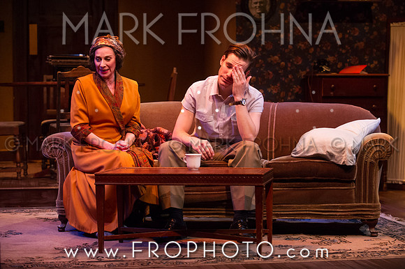 In Tandem Glass Menagerie-63