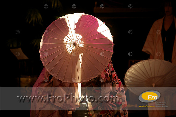 Skylight Howdy Do 103