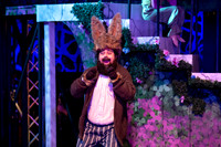 Skylight Rockin Midsummer Nights Dream Highlights-5