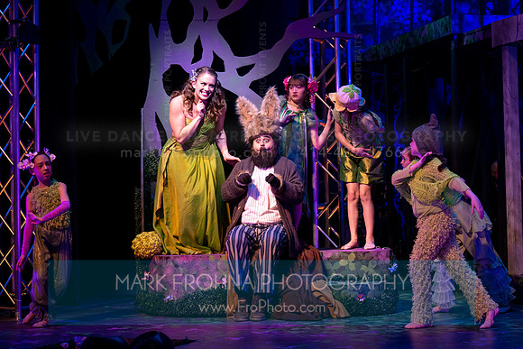 Skylight Rockin Midsummer Nights Dream Highlights-8