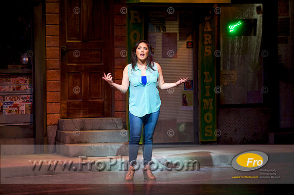 Skylight In the Heights Preview 025