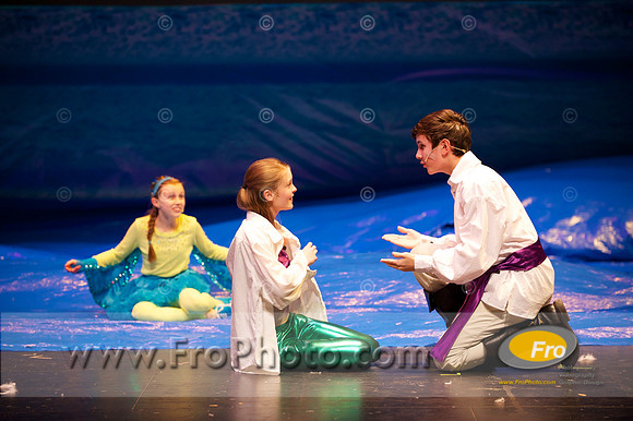 PPMS Mermaid Selects 1 015