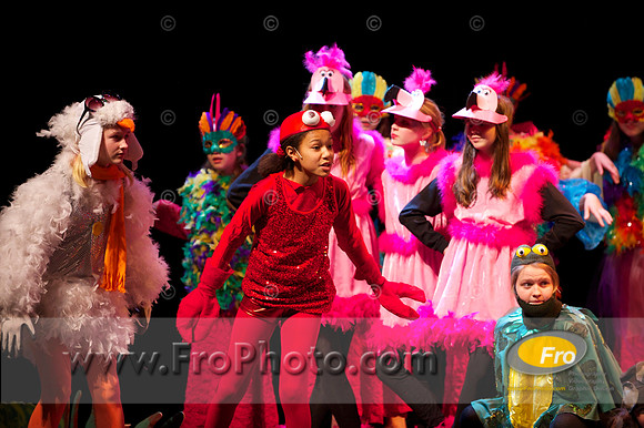 PPMS Mermaid Selects 1 019