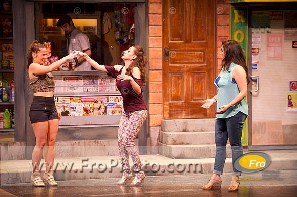 Skylight In the Heights Preview 024
