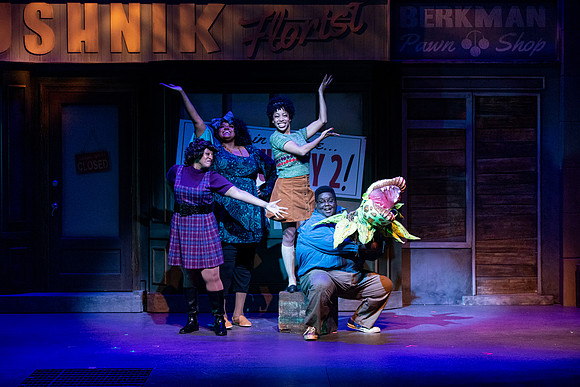 Skylight Little Shop 2021-14