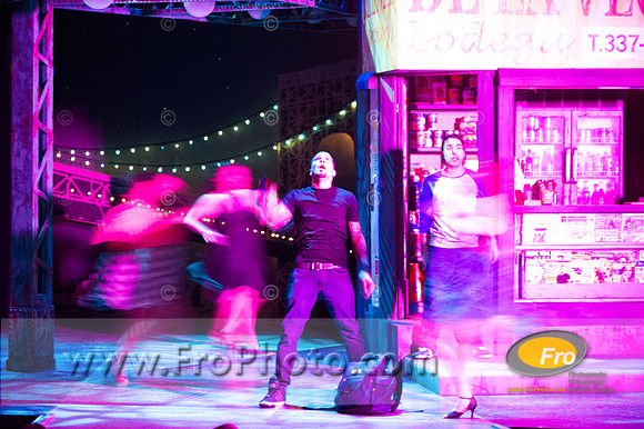 Skylight In the Heights Preview-110
