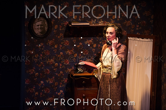 In Tandem Glass Menagerie-29