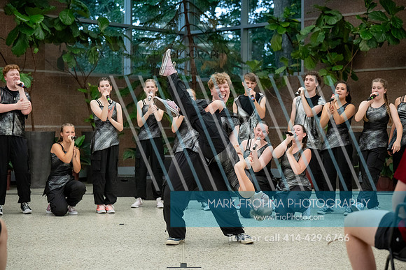 Main Street Song and Dance Zoo 2026-32