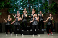 Main Street Song and Dance Zoo 2026-12