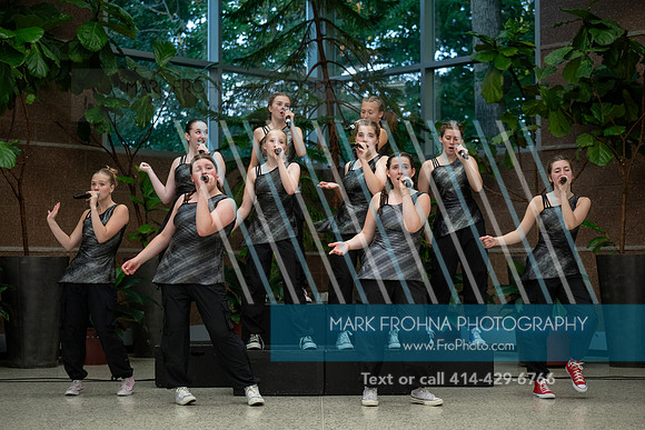 Main Street Song and Dance Zoo 2026-12