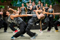 Main Street Song and Dance Zoo 2026-11