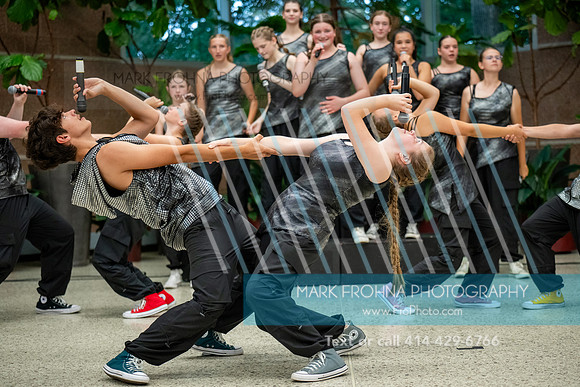 Main Street Song and Dance Zoo 2026-11