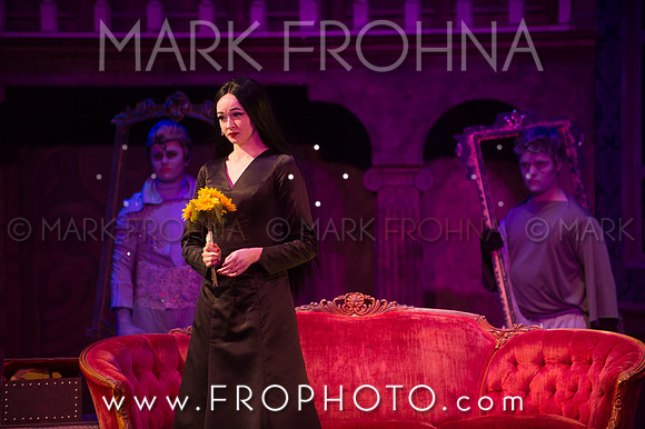 Addams Family Night 1-100