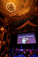 Skylight Gary Sinise Graceful Warrior 2026-11