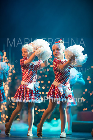 BCA Nov15 Sat100 Tiny Pom-11