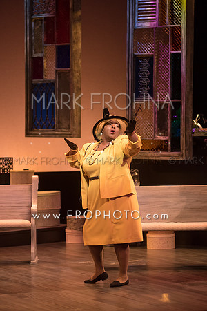 Skylight Crowns Preview-55