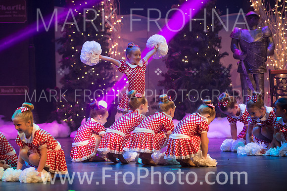BCA Nov15 Sat11 Tiny Pom-12