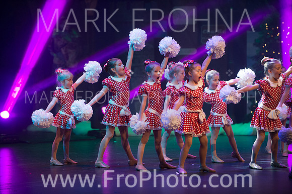 BCA Nov15 Sat11 Tiny Pom-17