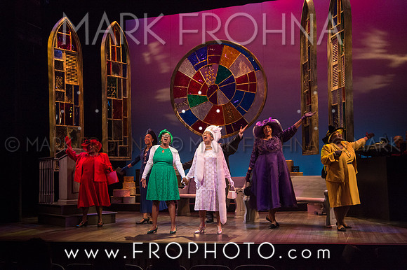 Skylight Crowns Preview-65
