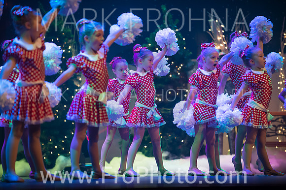 BCA Nov15 Sat200 Tiny Pom-11