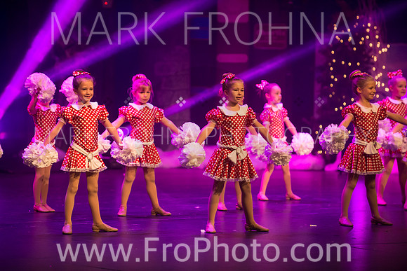 BCA Nov15 Sat11 Tiny Pom-2