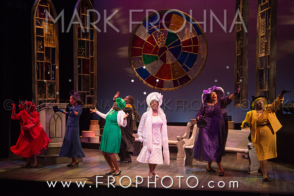 Skylight Crowns Preview-63