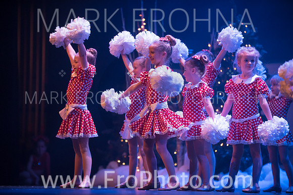 BCA Nov15 Sat100 Tiny Pom-4