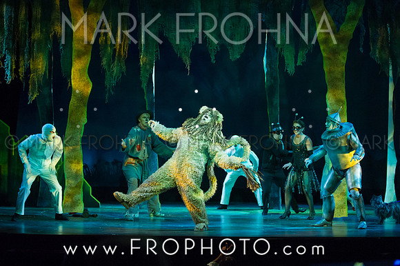 Skylight Wizard of Oz Selects-55