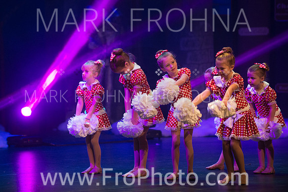 BCA Nov15 Sat11 Tiny Pom-16