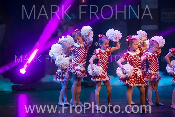 BCA Nov15 Sat11 Tiny Pom-15