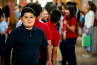 St Roman Seton Catholic Schools 2026-11