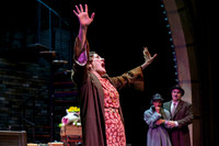 Skylight Gypsy Highlights 12