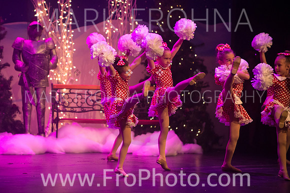 BCA Nov15 Sat11 Tiny Pom-5
