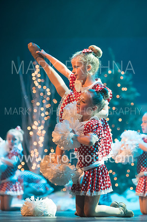 BCA Nov15 Sat100 Tiny Pom-10