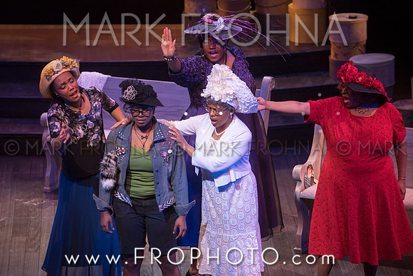 Skylight Crowns Preview-44