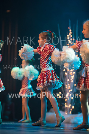 BCA Nov15 Sat100 Tiny Pom-12
