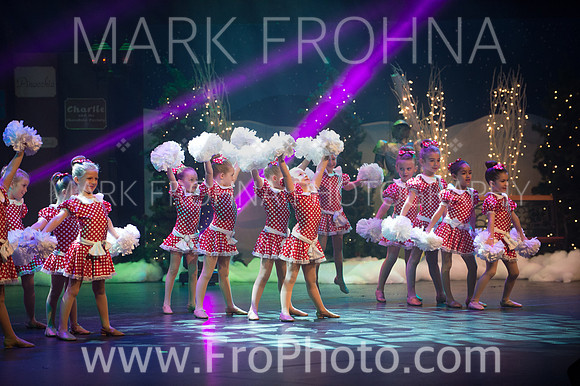 BCA Nov15 Sat11 Tiny Pom-10
