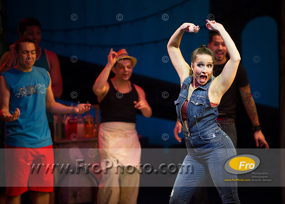 Skylight In the Heights Preview-123