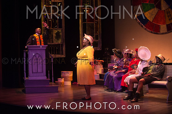 Skylight Crowns Preview-25
